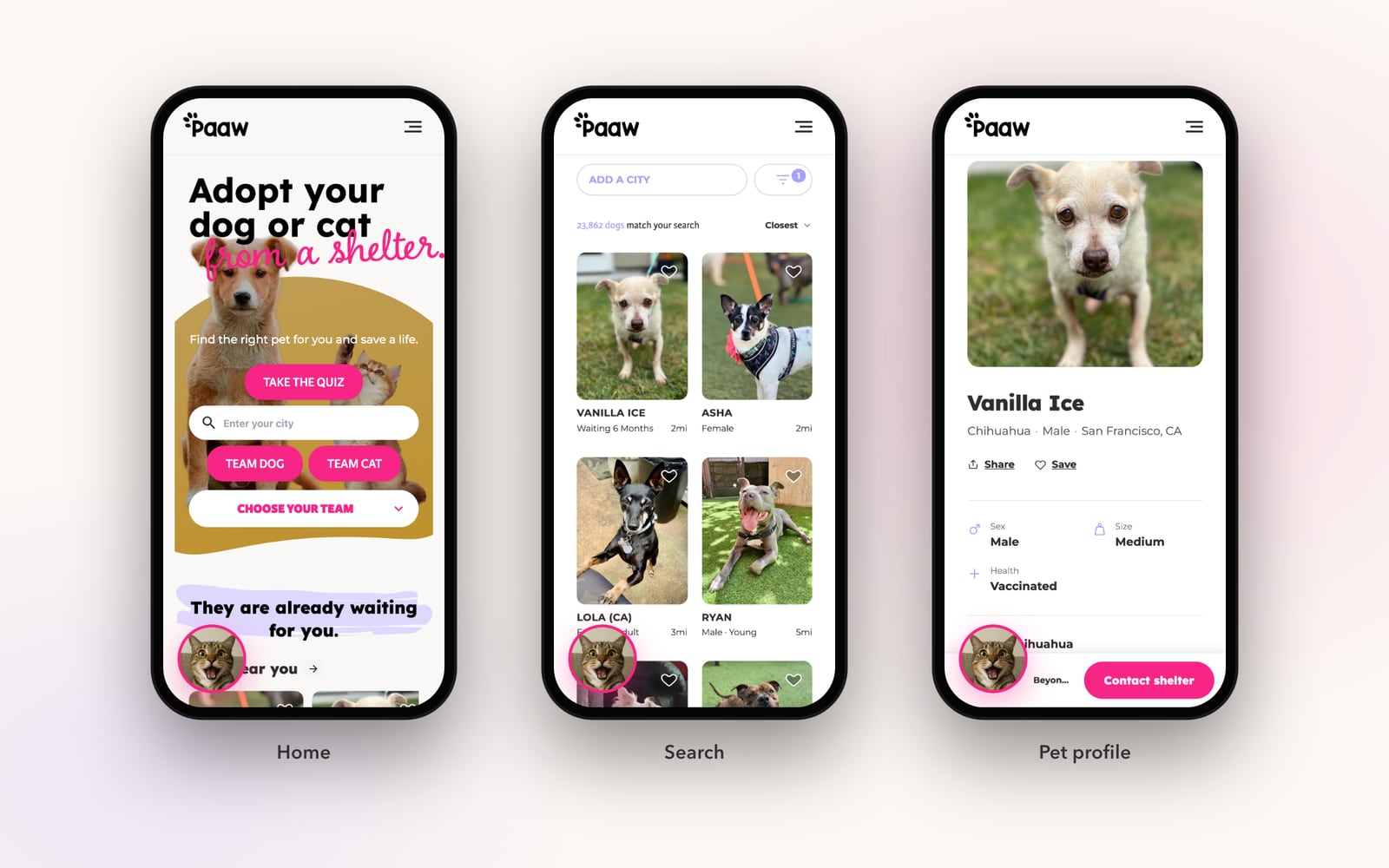 Paaw — Paaw on mobile