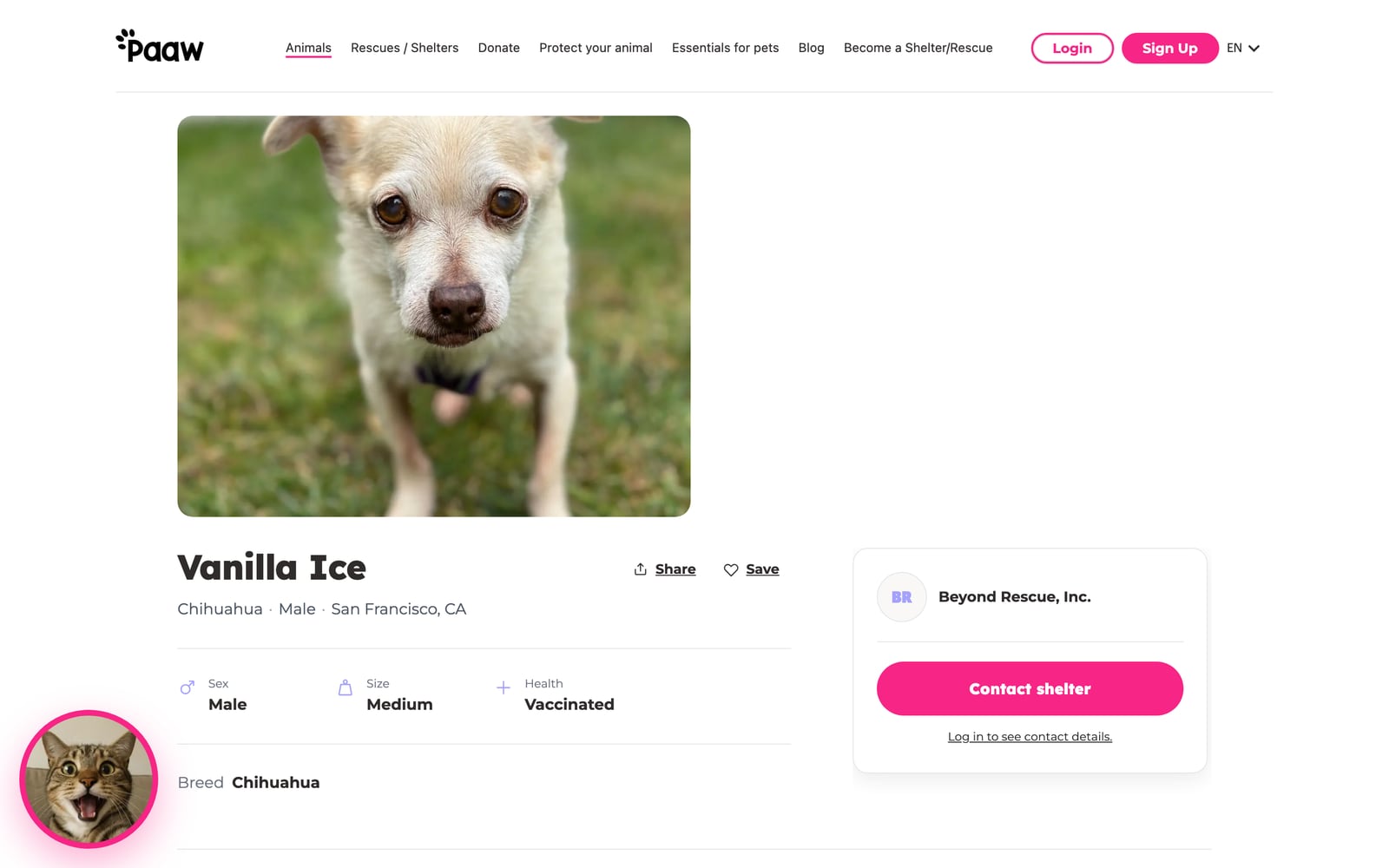 Paaw — Pet profile