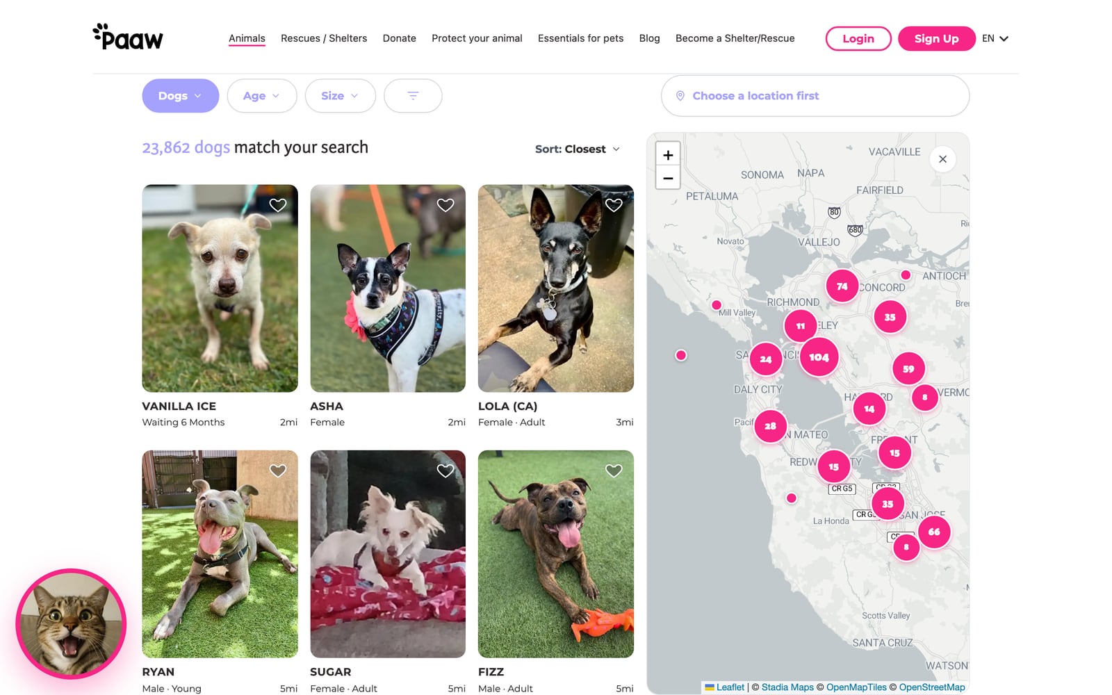 Paaw — Search with the radius map